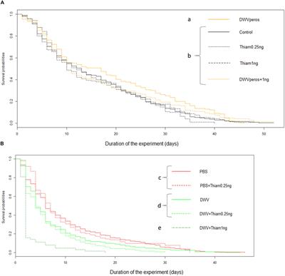 Interactions Between <mark class="highlighted">Thiamethoxam</mark> and Deformed Wing Virus Can Drastically Impair Flight Behavior of Honey Bees
